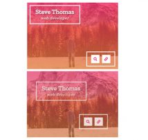 Hover Effect Style 282