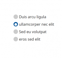 Radio Button Style 7