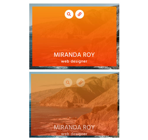 Hover Effect Style 305