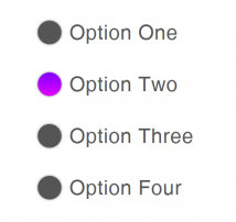 Radio Button Style 12