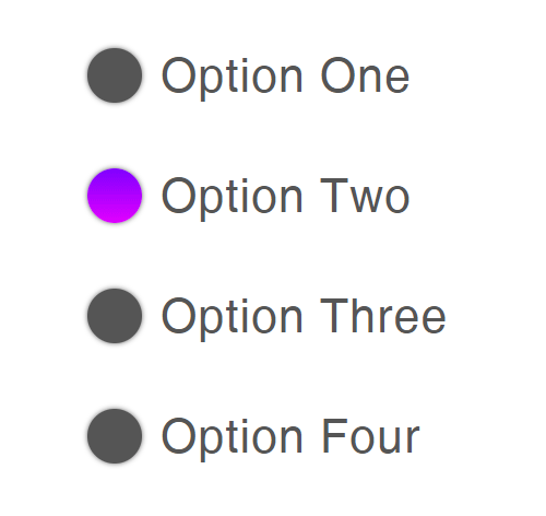 Radio Button Style 12