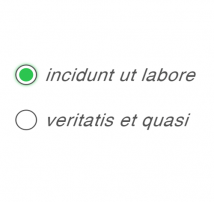 Radio Button Style 13