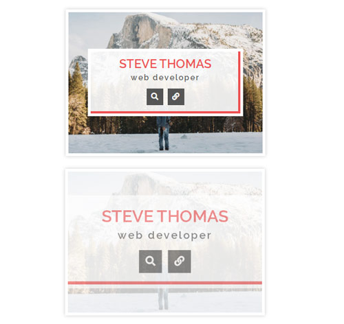 Hover Effect Style 312