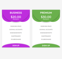 Pricing Table Style 213