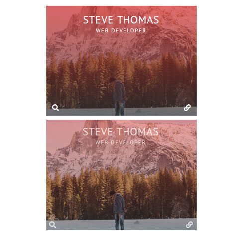 Hover Effect Style 335