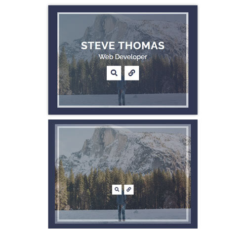 Hover Effect Style 338