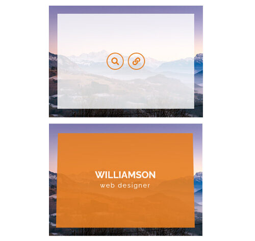 Hover Effect Style 345