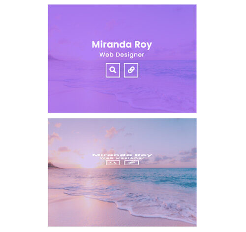 Hover Effect Style 368