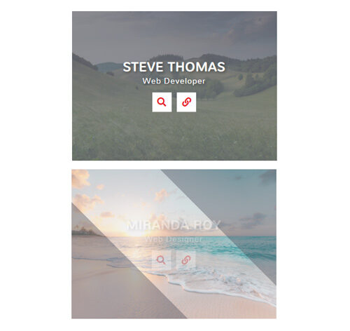 Hover Effect Style 381