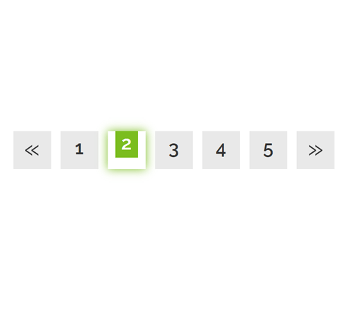 Pagination Style 191