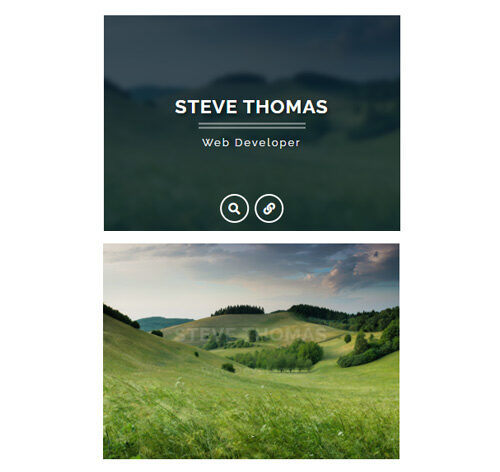 Hover Effect Style 384