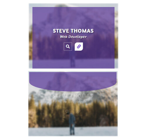 Hover Effect Style 387