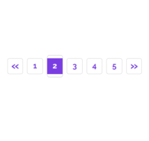 Pagination Style 216