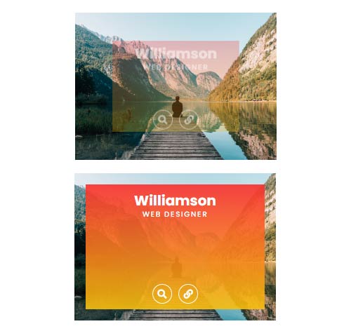 Hover Effect Style 417